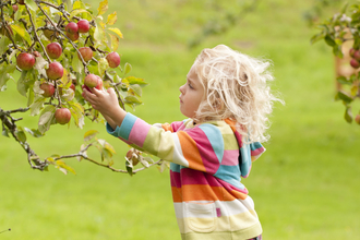 A young girl in a brightly coloured jumper reaches up to grab an apple from a tree