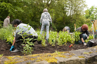 Community garden