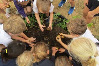 Children sorting potatoes
