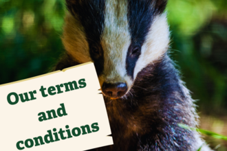 Terms and Conditions Badger