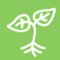 A stylised white seedling on green background