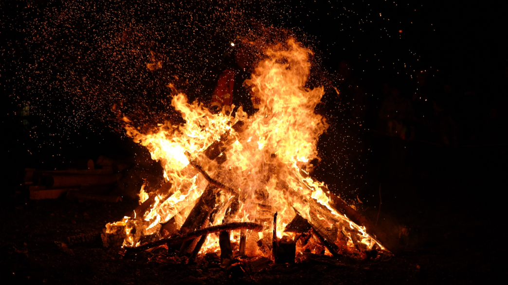 How to check your bonfire for hedgehogs | Coronation Gardens
