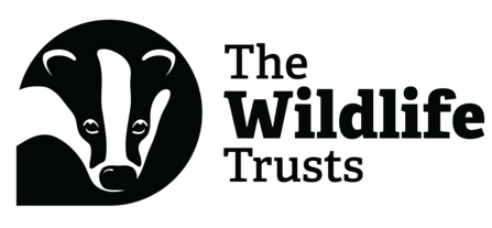 The Wildlife Trusts Logo