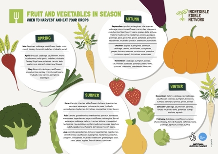 Incredible Edibles Fruit and Vegetables in Season