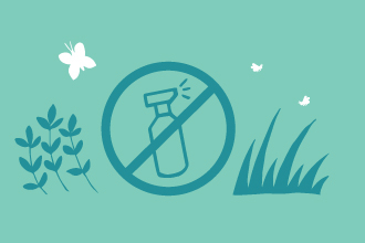 An illustration showing a weedkiller bottle with a line through it, indicating you should go chemical free. Wildflowers, bees and butterflies surround it