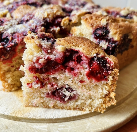 Spiced Blackberry Crumble Cake