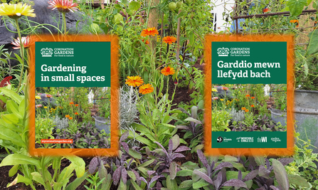 Two booklet covers with plants