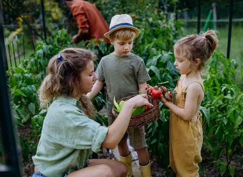 A family surrounded by vegetable plants. A woman with white skinm, long fair hair and a green shirt is holding a basket full of vegetables. Her daughter, a young girl with white skin and fair in yellow dungarees holds a bunch of tomatoes. Her son, with white skin and fair hair hidden benath a straw hat, watches on