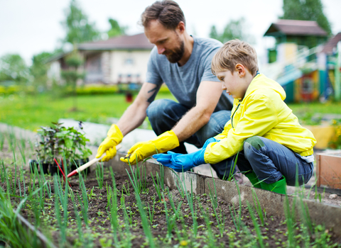 A man with white skin, short brown hair and beard, wearing a grey t-shirt is gardening with his son, a young boy with white skin and medium-length blonde hair, wearing a bright yellow jacket. They're preparing a patch of soil for planting.