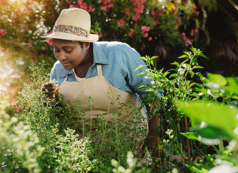 A smiling woman with brown skin, a pale blue shirt, and cream apron and wide-brimmed hat, surrounded by herbs and flowers, leans forward so sniff a herb