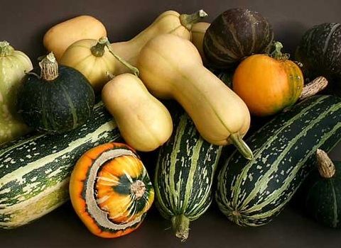 Girton WI Veg Harvest