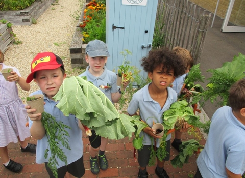 Children holding veg