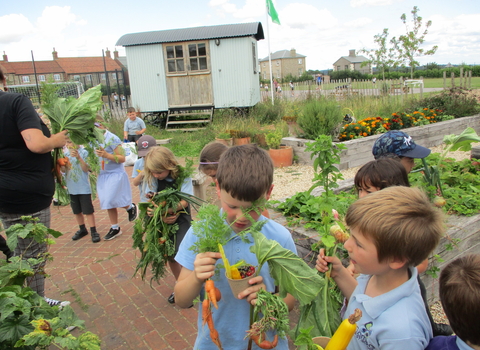 Children in garden with veg