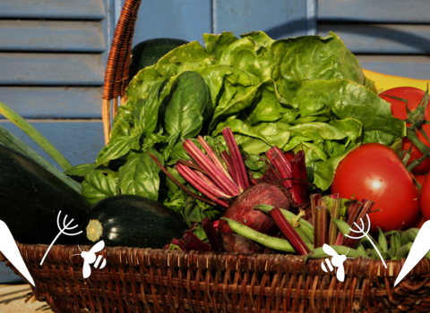 basket of vegetables