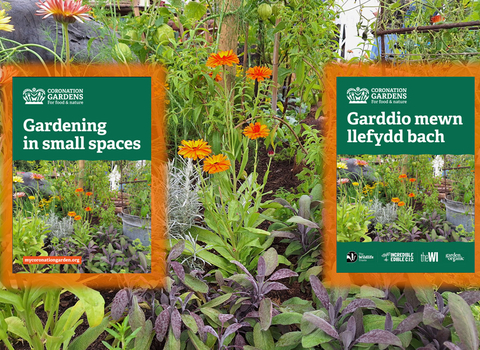 Two booklet covers with plants